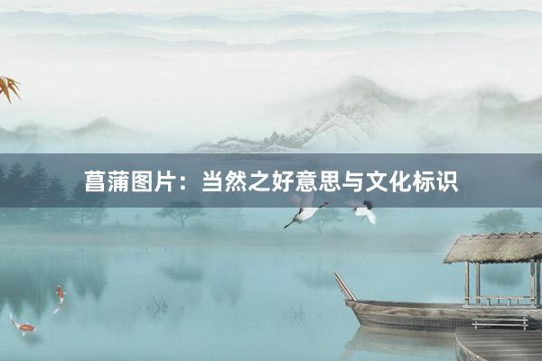 菖蒲图片：当然之好意思与文化标识