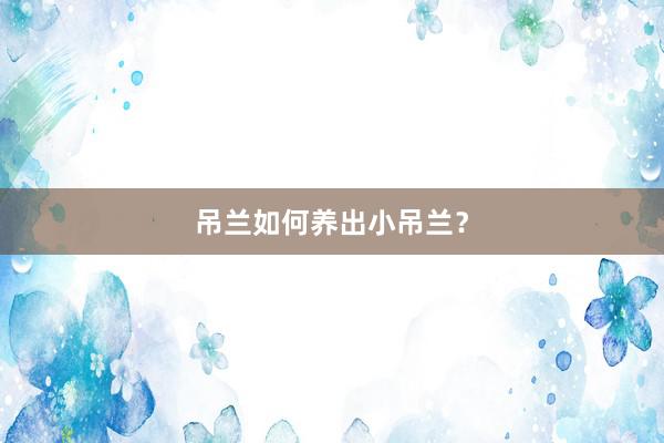 吊兰如何养出小吊兰？