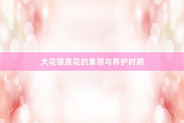 大花银莲花的素丽与养护时期