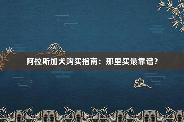 阿拉斯加犬购买指南：那里买最靠谱？